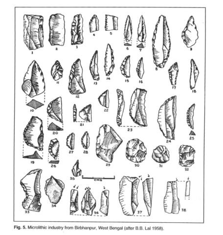 h1 3.6 microlithic industry from birbhanpur